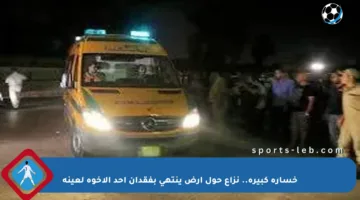 خسارة كبيرة.. نزاع حول أرض ينتهي بفقدان أحد الإخوة لعينه